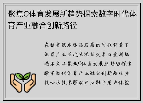 聚焦C体育发展新趋势探索数字时代体育产业融合创新路径
